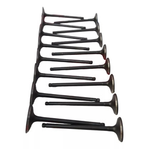 Nunc congue dui nec...