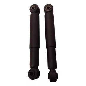 Nunc congue dui nec...