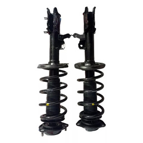 Nunc congue dui nec...