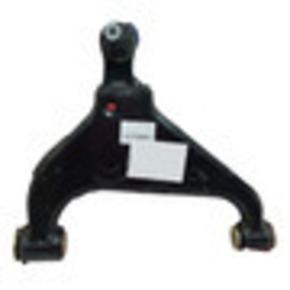 Nunc congue dui nec...