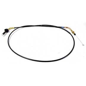 Nunc congue dui nec...