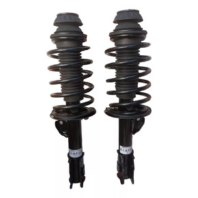 Nunc congue dui nec...