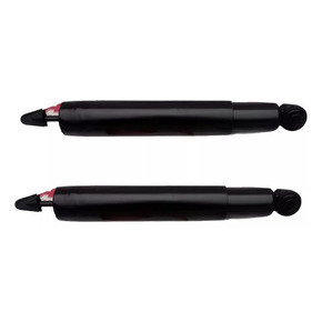 Nunc congue dui nec...