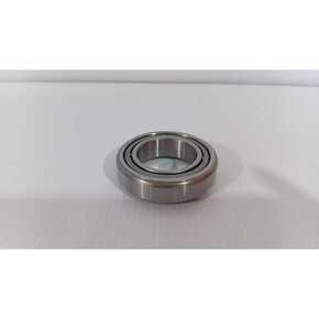 Nunc congue dui nec...