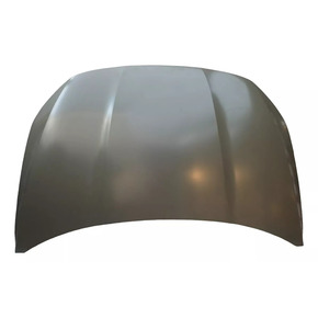 Nunc congue dui nec...