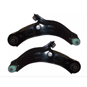 Nunc congue dui nec...