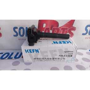 Nunc congue dui nec...