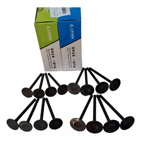 Nunc congue dui nec...