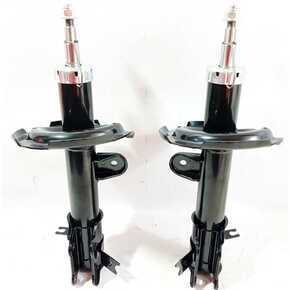 Nunc congue dui nec...