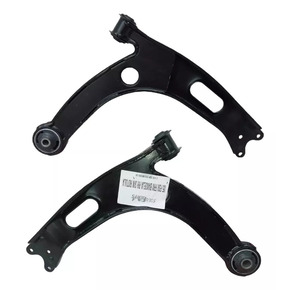 Nunc congue dui nec...