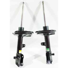 Nunc congue dui nec...