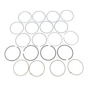 Nunc congue dui nec...