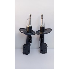 Nunc congue dui nec...