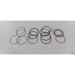 Nunc congue dui nec...