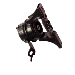 Nunc congue dui nec...