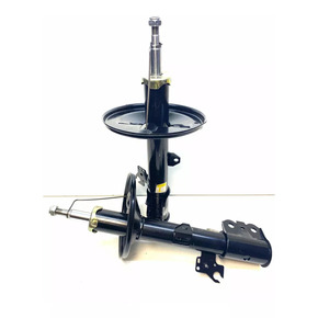 Nunc congue dui nec...