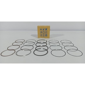 Nunc congue dui nec...