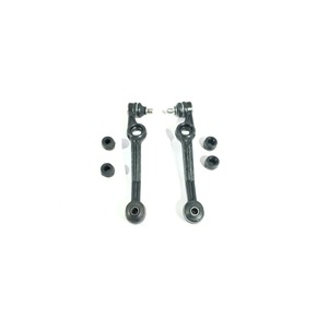 Nunc congue dui nec...