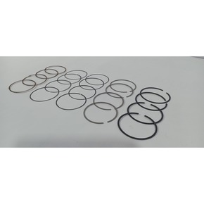 Nunc congue dui nec...