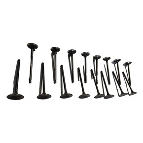 Nunc congue dui nec...