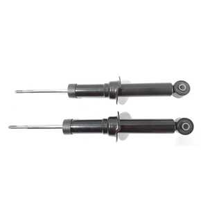 Nunc congue dui nec...