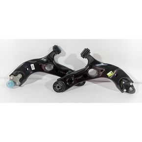 Nunc congue dui nec...