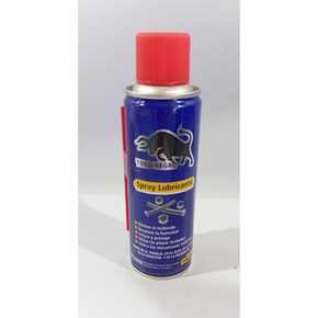 Nunc congue dui nec...