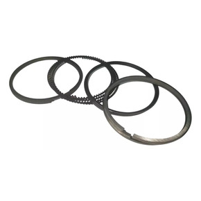 Nunc congue dui nec...