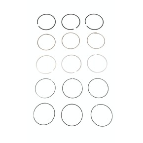 Nunc congue dui nec...