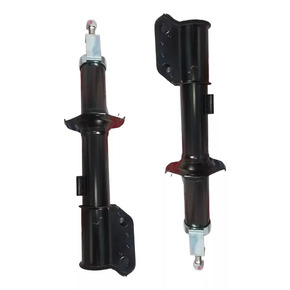 Nunc congue dui nec...