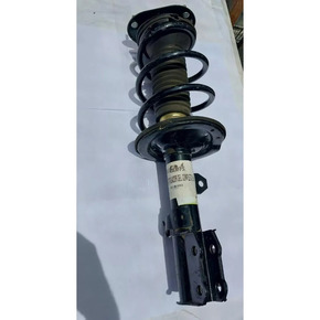 Nunc congue dui nec...