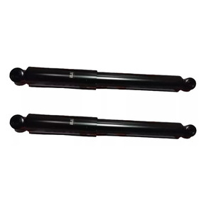 Nunc congue dui nec...