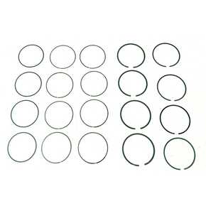 Nunc congue dui nec...