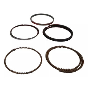 Nunc congue dui nec...