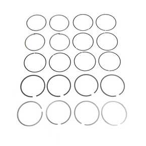 Nunc congue dui nec...