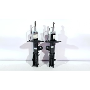 Nunc congue dui nec...