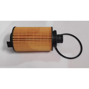 Nunc congue dui nec...