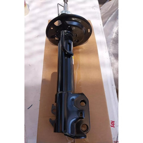 Nunc congue dui nec...