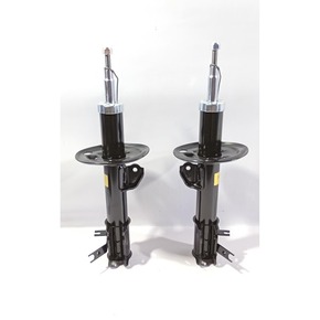 Nunc congue dui nec...