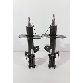 Nunc congue dui nec...