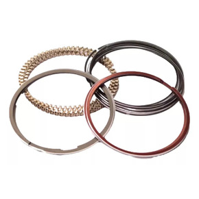 Nunc congue dui nec...