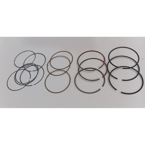 Nunc congue dui nec...