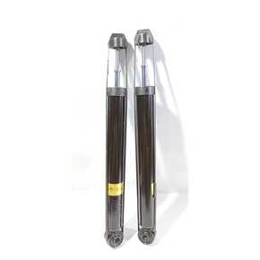 Nunc congue dui nec...