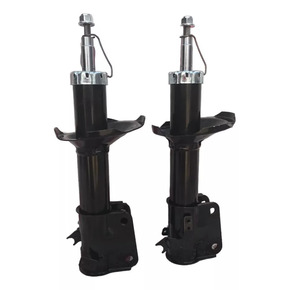 Nunc congue dui nec...