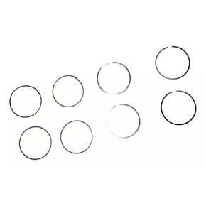 Nunc congue dui nec...