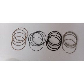 Nunc congue dui nec...