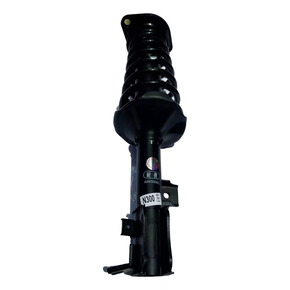 Nunc congue dui nec...