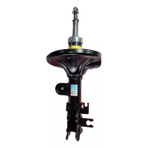 Nunc congue dui nec...