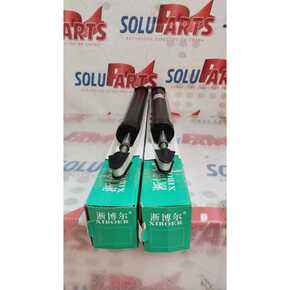 Nunc congue dui nec...