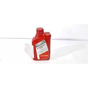 Nunc congue dui nec...